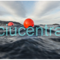 Pripučiamas Polyform A serijos fenderis - bujus Pripučiamas Polyform A serijos fenderis - bujus